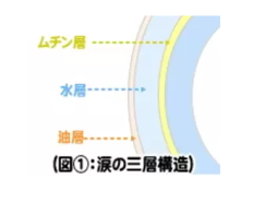 涙の三層構造